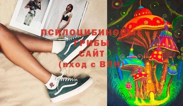 ПСИЛОЦИБИНОВЫЕ ГРИБЫ Лиски