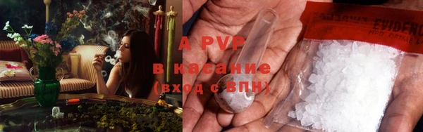 ПСИЛОЦИБИНОВЫЕ ГРИБЫ Лиски