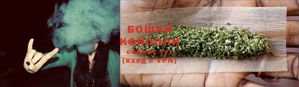 гидропоника Каменка
