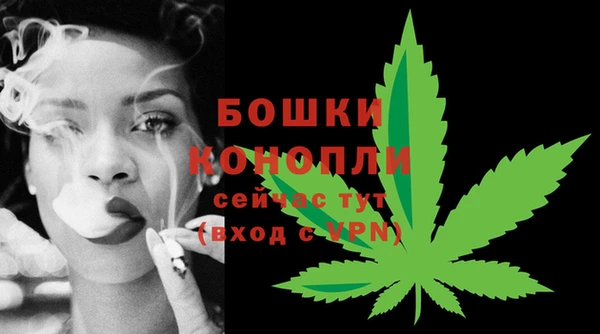 гашик Белоозёрский