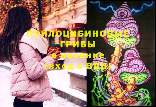 соль ск Липки