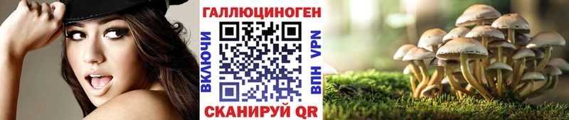 Галлюциногенные грибы MAGIC MUSHROOMS  Кремёнки 